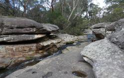 At The Cascades in Garigal National Park